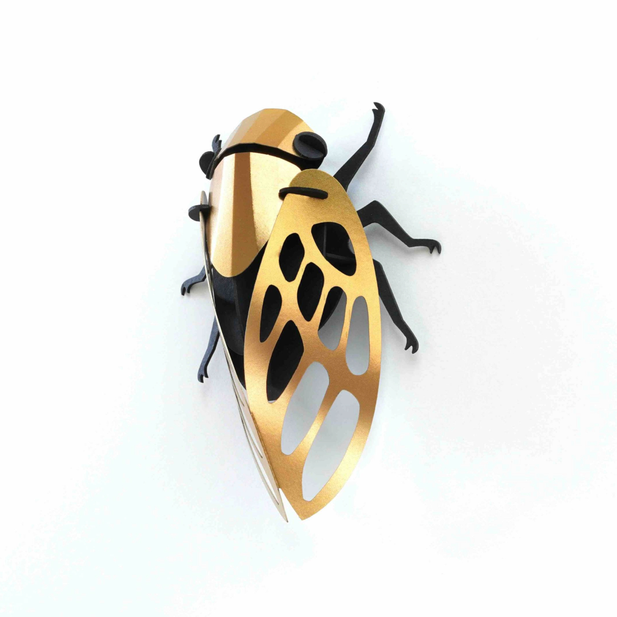 Assembli Cicada gold