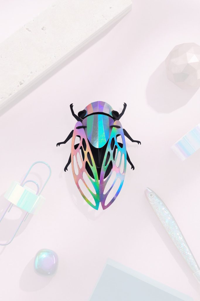 Assembli-cicada-rainbow-20%meer Assembli-cicada-rainbow-20%