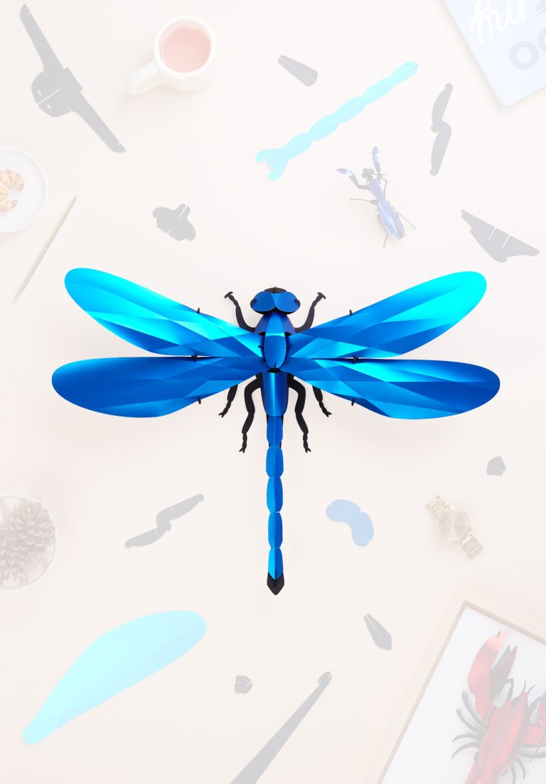 Assembli-Giant-Dragonfly-blue-topdown-20%