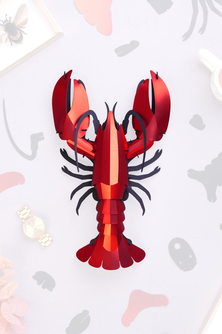 Assembli-Giant-Lobster-red-20%-crop