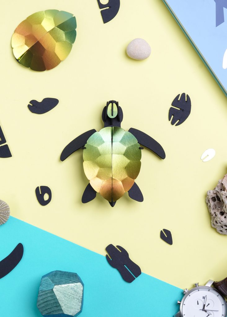 Assembli-Sea-turtle-baby-mango-crop