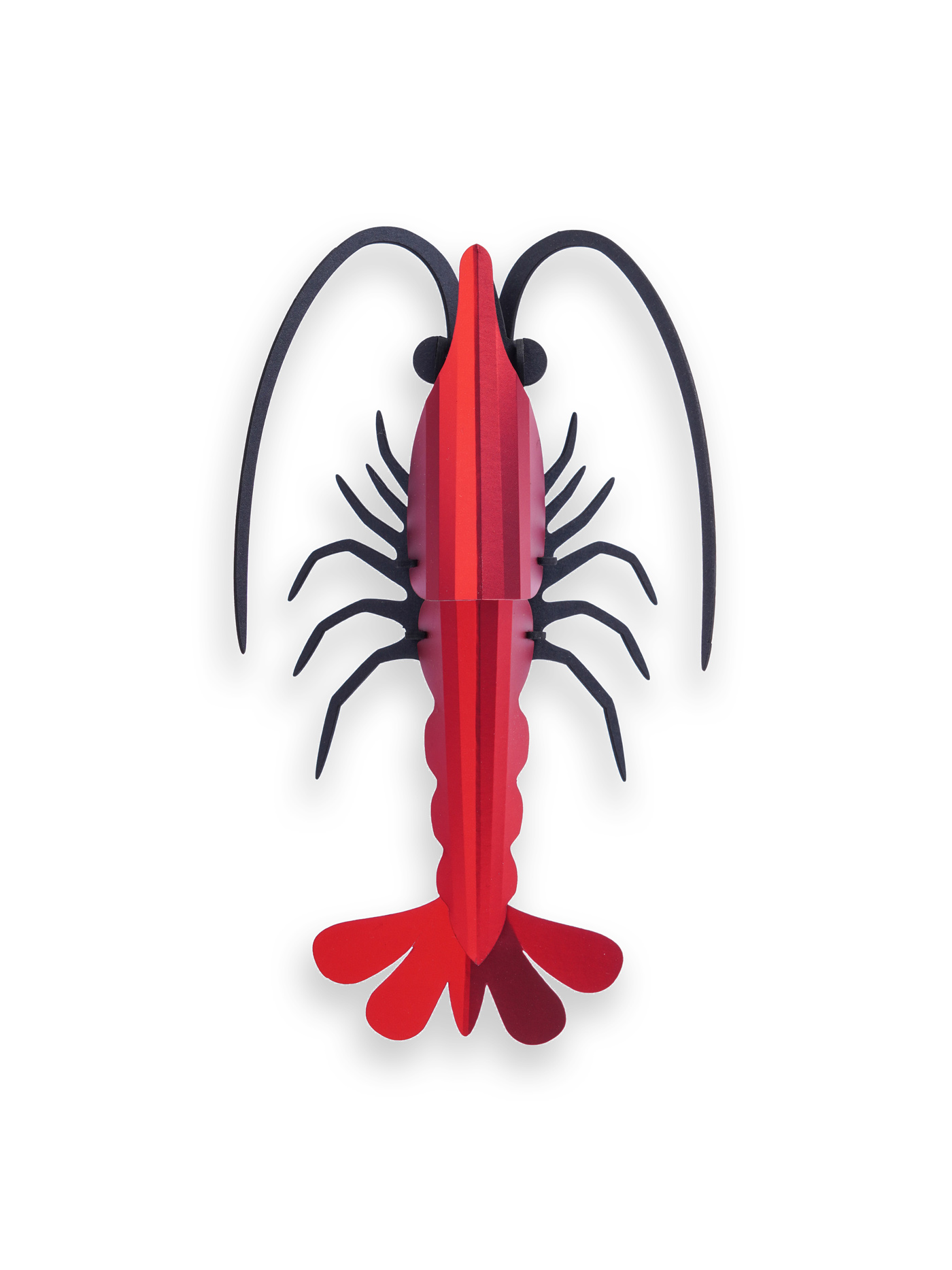 Assembli-Shrimp-red