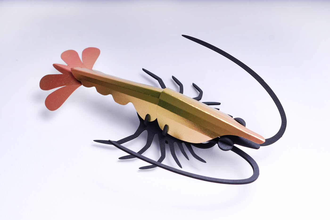 Paper Shrimp - Image 6