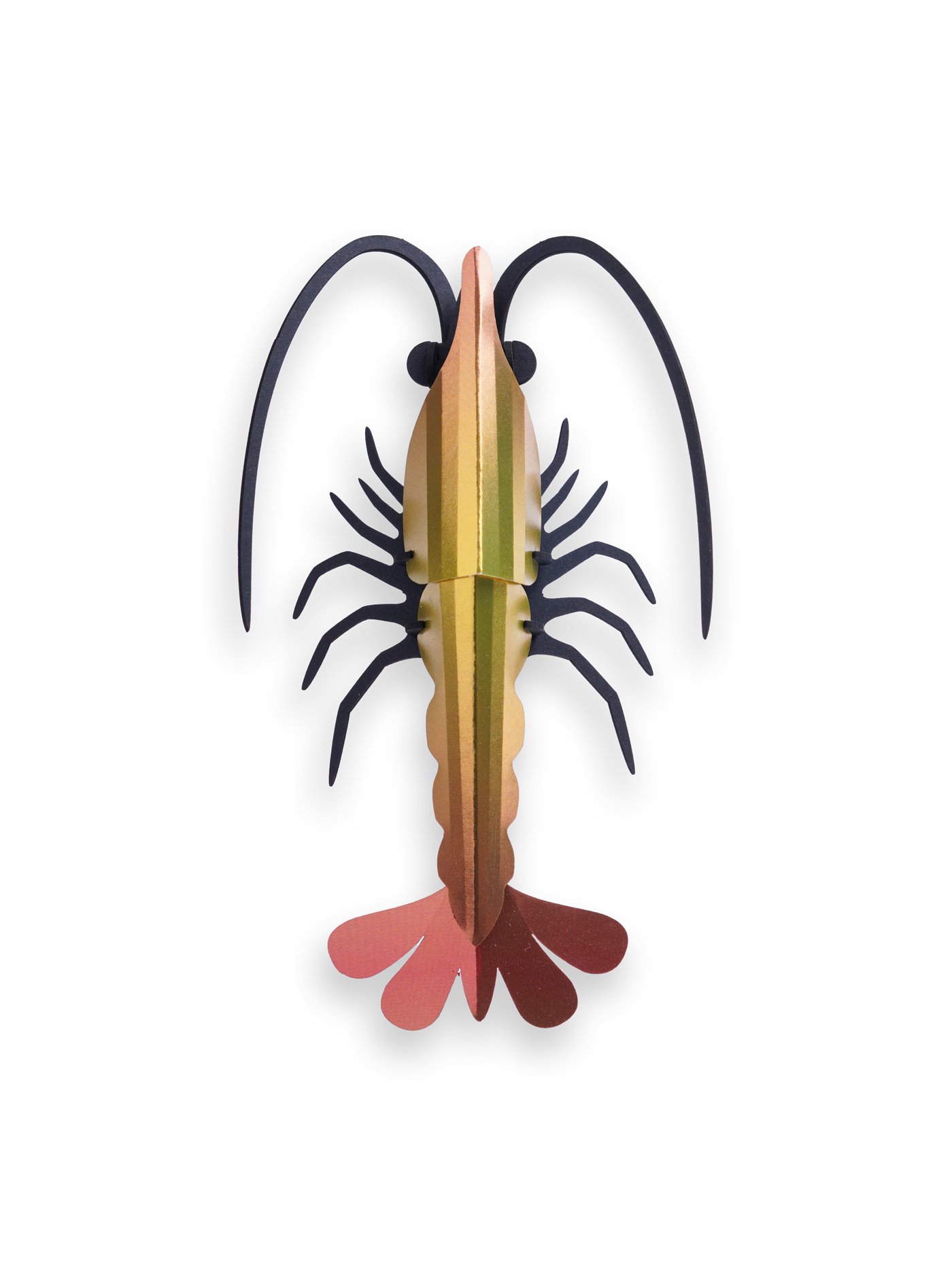 Paper Shrimp - Image 5