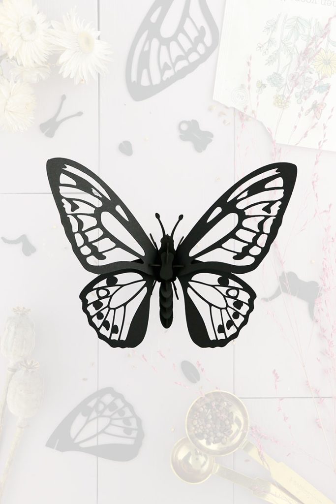 Assembli-birdwing-black-trans-lowmeer Assembli-birdwing-black-trans-low
