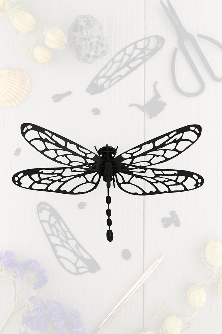 assembli-dragonfly-black-trans-low