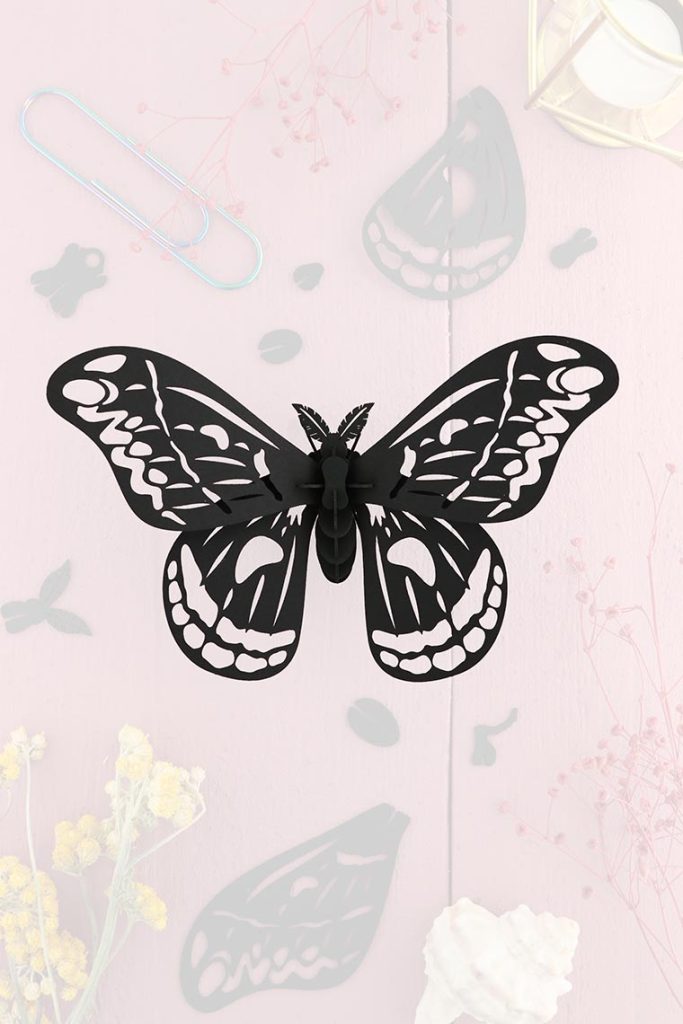 giant-silk-butterfly black zwart-trans-lowmeer giant-silk-butterfly black zwart-trans-low