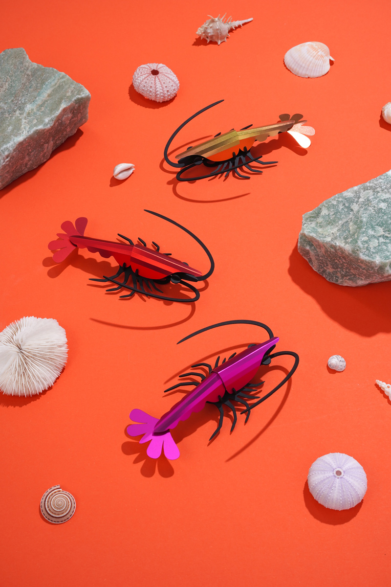 Paper Shrimp - Image 3