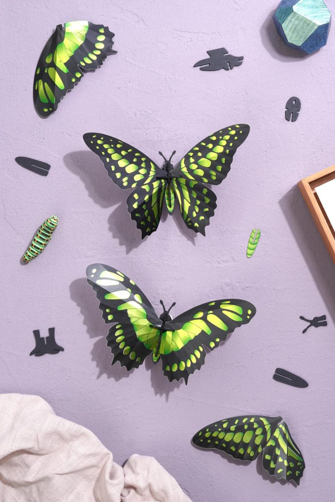 Assembli-Butterflies-malachite-topdown
