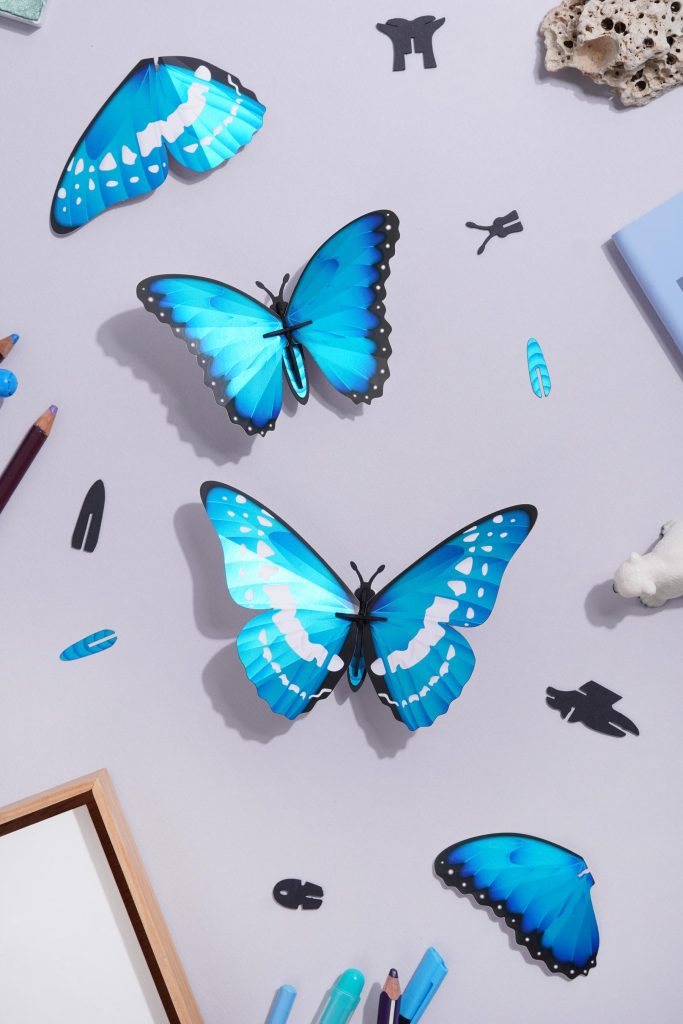 Assembli-Butterflies-morpho-blue-topdown